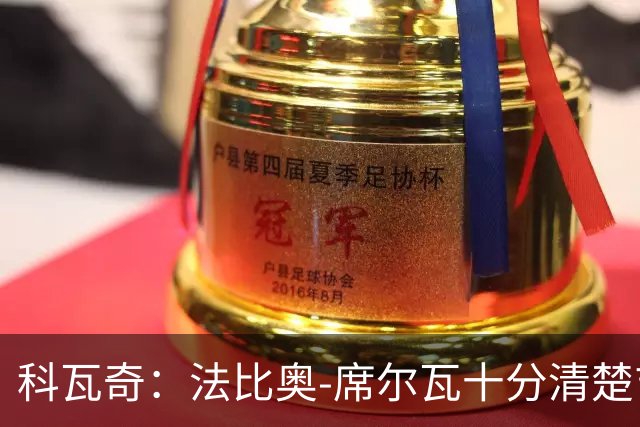 科瓦奇：法比奥-席尔瓦十分清楚吉拉西是多特头号中锋