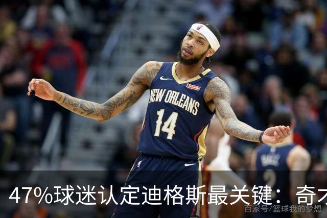 47%球迷认定迪格斯最关键：奇才这笔签约比奥维更被看好